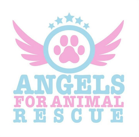 Angels for Animals Rescue Teacup Tutu Charm