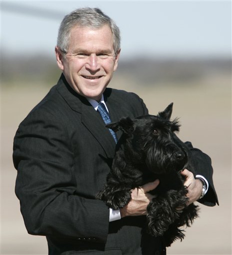 Former President George W. Bush Teacup Tutu Charm